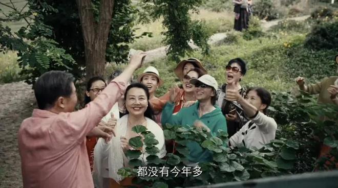 国产剧《棋士》第6《鹊刀门传奇2》第2新葡京博彩2025年口碑最好的10部(图45)